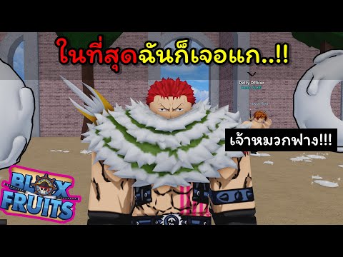 ในที่สุดฉันก็เจอแก..!!! เจ้าหมวกฟาง!!! [Blox Fruits]