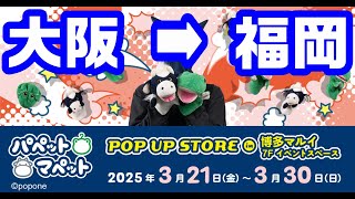 本日大阪最終日！明日から福岡！パペットマペット雑談生放送🐮🐸