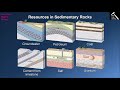 Sedimentary Rocks and Fossil Insights