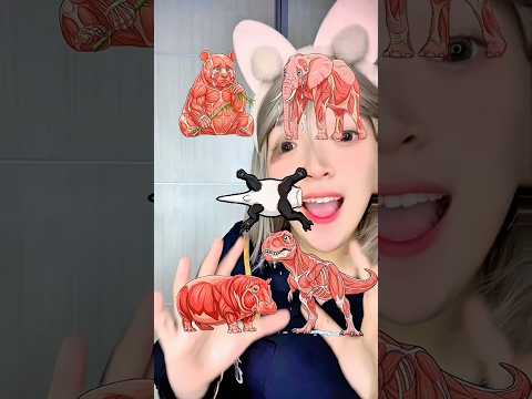 Temukan Kulit Hewan Langsung Menang