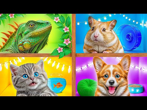 Nous Construisons des Maison Pour Animaux de Compagnie | Moments Marrants par TeenDO Challenge