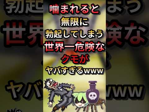 世界一危険なバナナクモに噛まれた末路www#ずんだもん #ゆっくり解説 #動物