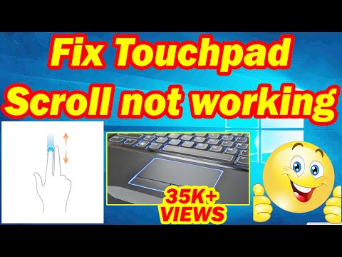 hp two finger scroll not working
