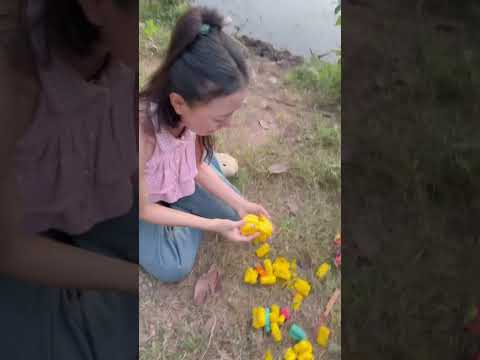ทำไมปลาทำแบบนี้ ￼