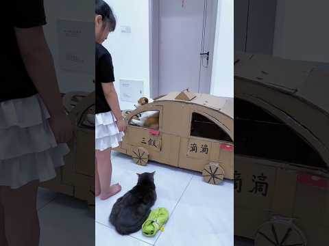 kitty going to school ๐ซ| New Viral Gadgets,Smart Appliances, Kitchen Utensils/ Home Inventions