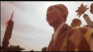 Film Evil Cult   Tajemství Kung Fu online   Serialos eu