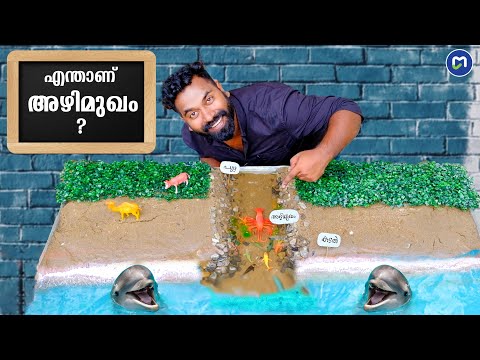 എന്താണ് അഴിമുഖം | What Is Estuary ? | M4 EDU |