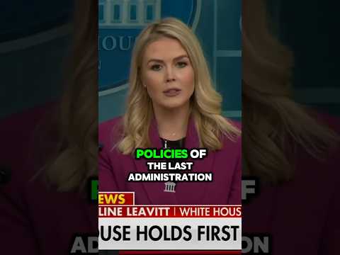 Karoline Leavitt SHUTS DOWN Reporter Over Egg Prices!!