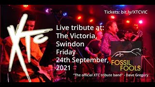 Wrapped In Grey (XTC Cover) - Fossil Fools (XTC Tribute) - Live In Swindon, 2021