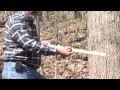Measuring Tree Volume and Scales