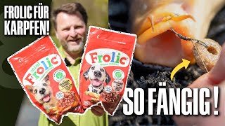 Karpfen mit Hundefutter fangen? So gut fängt Frolic!
