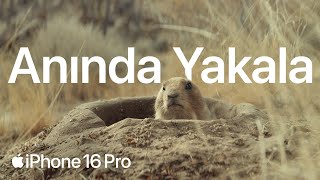 iPhone 16 Pro | Kamera Denetimi | Apple