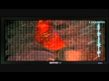 Exploring the Secrets of DNA