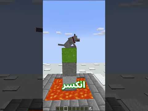 تحدي تخمين الحيوان في ماين كرافت !!