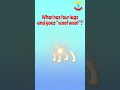 Understanding Dogs