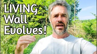 Plant Solutions to People Problems - Mid Season Update