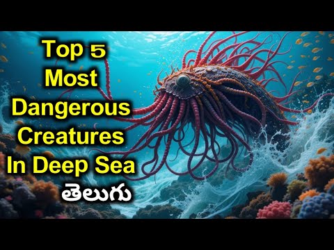 Top 5 most dangerous creatures in deep sea | Global Facts Explore