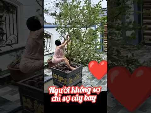 khi cơn bão đến #shorts