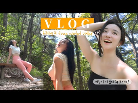 [4K 고화질] 등산도 하고 💛평생 무료로 수영가능한 금오동천 계곡 여름 VLOG A valley where you can hike and swim for free for life