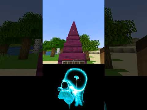 1050 IQ vs - 155 IQ in Minecraft #shorts