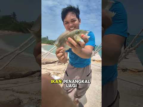 Apes, Aku mancing dan ikannya di jual oleh muridku!