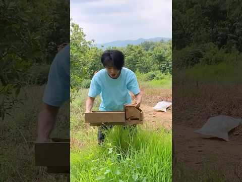 Menemukan Mobil-Mobilan Kayu Buatan Mama Abdul