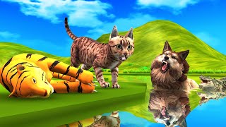बाघ और चालाक बिल्ली Tiger and Cunning Cat Moral Stories in Hindi Baagh Aur Chalak Billi Ki Kahani