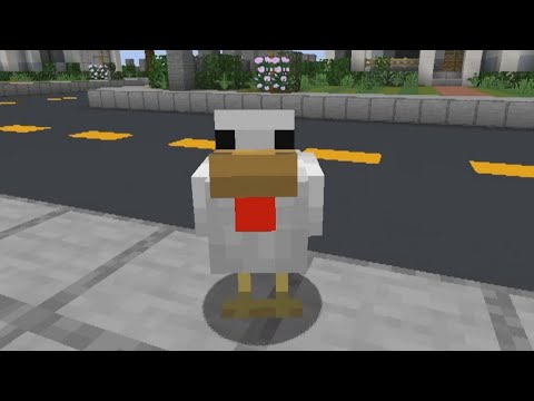Why Did The Chicken Cross The Road