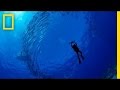 Marine Exploration and Conservation Issues