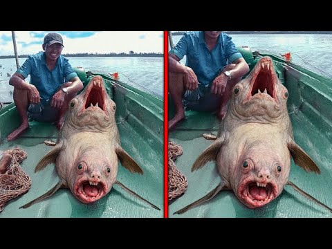 Si Estas Criaturas No Hubieran Sido Filmadas, Nadie Las Habría Creído