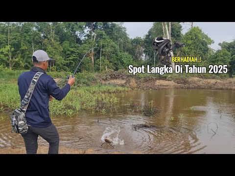 SPOT HUTAN ALAM SEPERTI KOLAM TERNAK..! TAK DI DUGA ISI NYA SANGAT BANYAK DAN GANAS