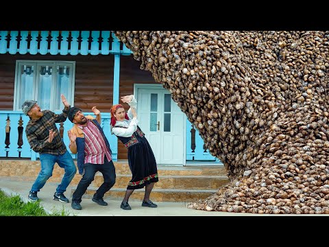 INVAZIE DE MELCI ÎN SAT #3chestii
