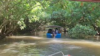 Places to Visit in Kerala || Part -2 || Mangrove Forest || Poovar || Kerala ||