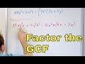Factoring the Greatest Common Factor in Polynomials