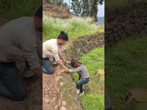 Funny Watch it and laugh it out loud. I laugh until my stomach hurt. Funny video. Funny jokes #37