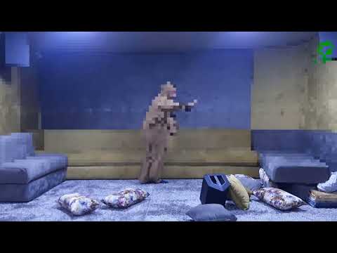 شيطان شرس معركة قوية سحر الدم