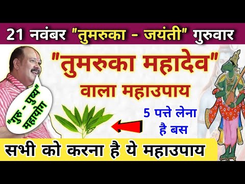 21 नवंबर गुरु पुष्य योग तुमरुका जयंती | तुमरुका महादेव का उपाय | guruwar ke upay pradeep mishra