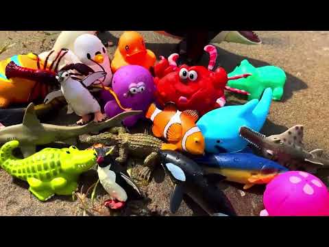Ocean Creatures Names Play: Fun & Educational Sea Animal Adventure for Kids