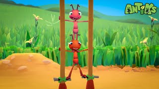 Ants vs. Hot Ground: The Clever Escape! 🔥🐜 | ANTIKS 🐜 | Old MacDonald's Farm | Animal Cartoons