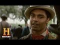 Understanding the Themes of 'Roots'