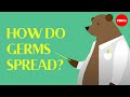 Understanding Germs and Their Transmission
