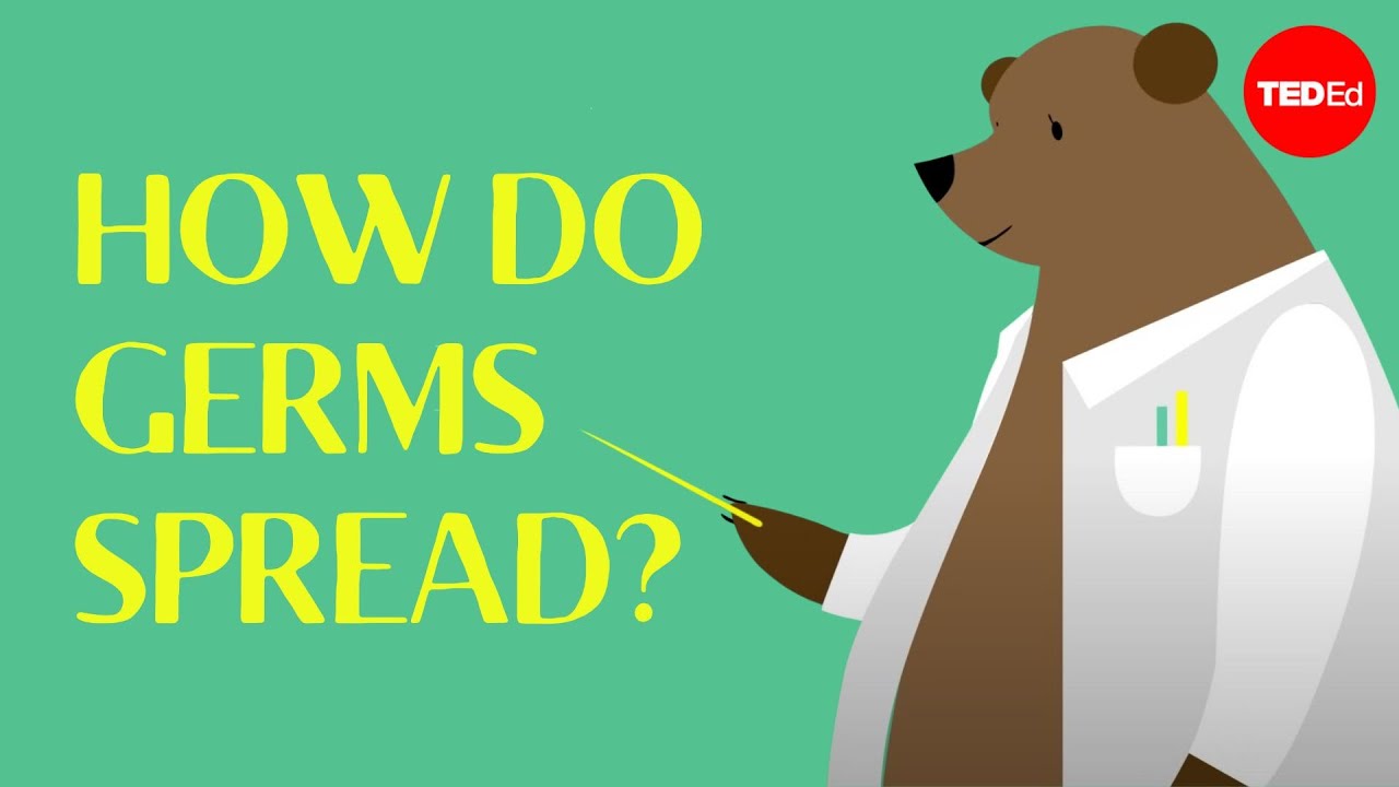 How do germs spread (and why do they make us sick? - Yannay Khaikin and Nicole Mideo