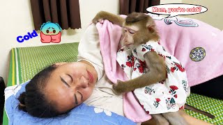 Monkey Lyly thoughtfully covers her mother with a blanket when it's raining heavily outside.