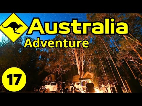النوم في الطبيعة / التخييم في أستراليا Bungarie Bay campground a peaceful spot nestled
