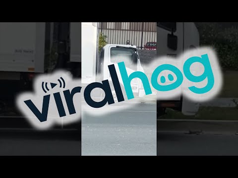 Crow Uses A Truck As Its Playground || ViralHog