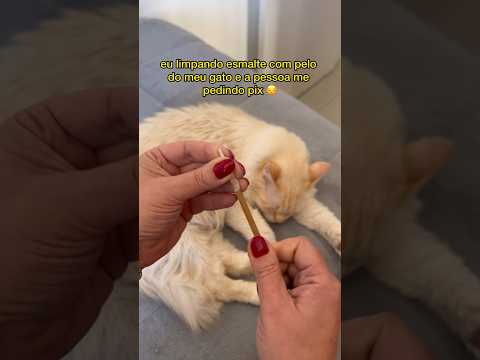 MUQUIRANAS BRASIL VERSÃO GATOS