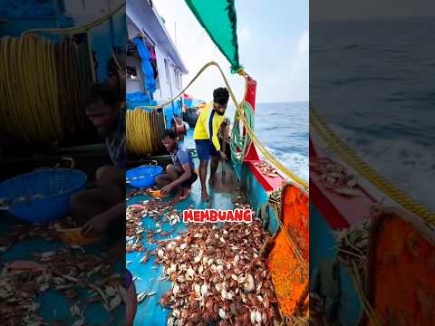 Mengapa Nelayan Mebuang Kepiting Ke Tengah Laut #facts #fishing #kepiting
