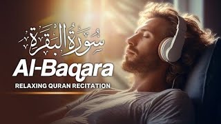 سورة البقرة بصوت جميل  | لا تتركها في يومك (القرآن الكريم)
