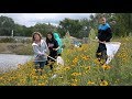Dragonfly Research and Citizen Science