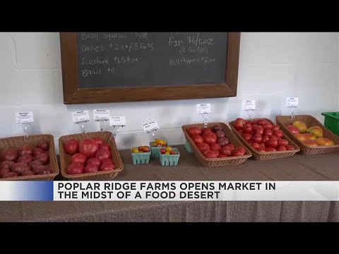 YouTube video thumbnail: Poplar Ridge Farms Opens Market in Hopes of Being an ‘Oasis in the Desert’